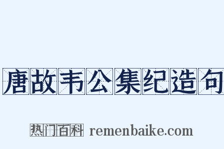 唐故韦公集纪造句是什么意思的图片